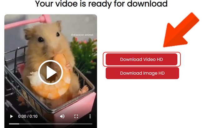 Mách bạn cách lưu video trên Pinterest siêu nhanh - Ảnh 12