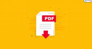 Top 4 cách dịch file PDF nhanh chóng bạn đã biết chưa?