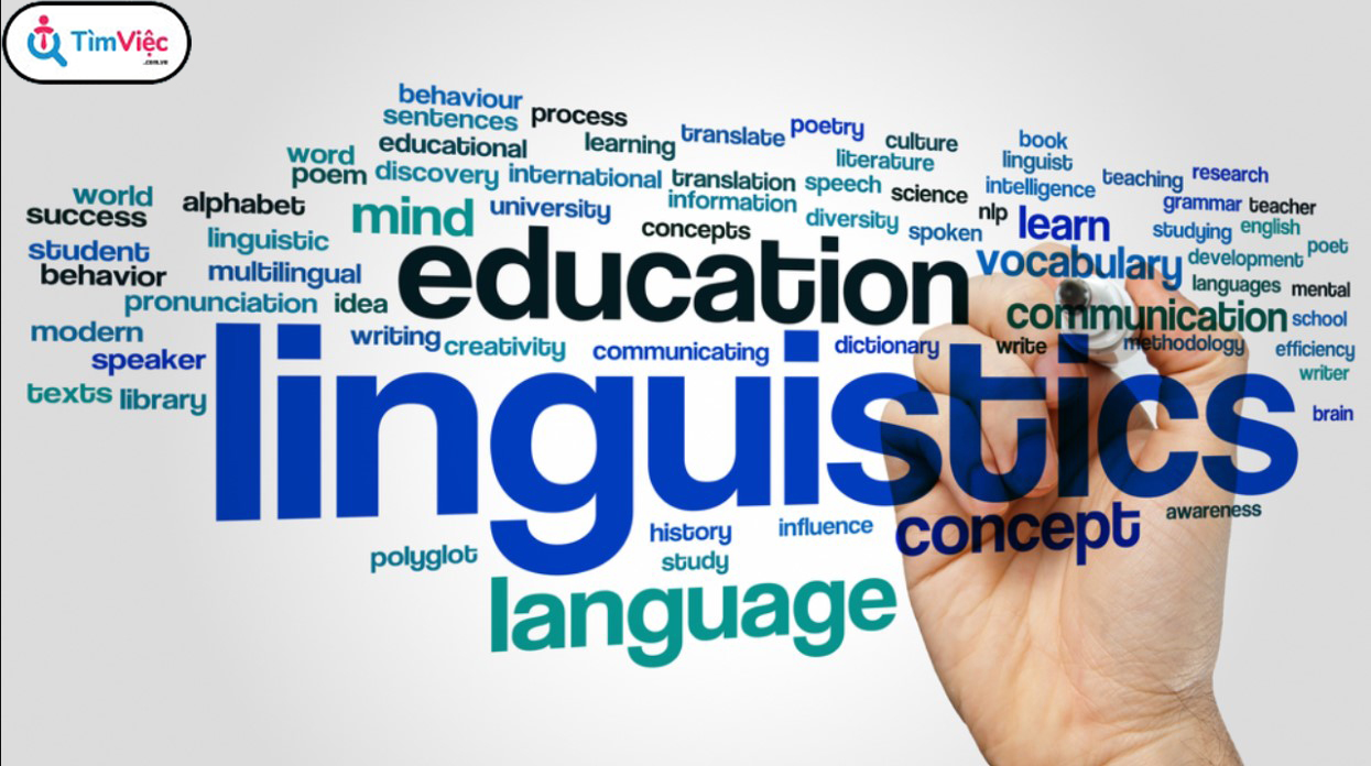 Giải đáp: Ngành ngôn ngữ học là ngành gì? Cơ hội việc làm trong tương lai - Ảnh 1
