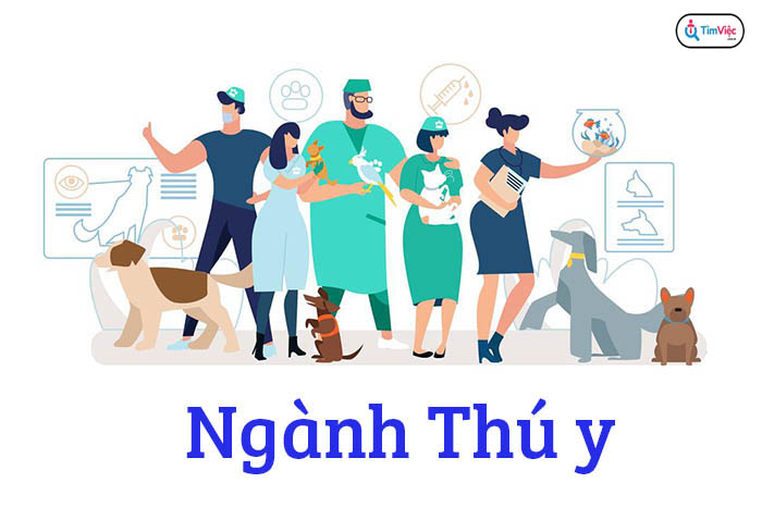 Tìm hiểu Ngành thú y. Có nên theo đuổi Ngành thú y hay không?