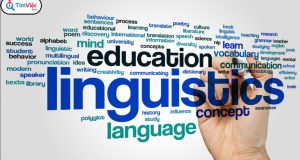 Giải đáp: Ngành ngôn ngữ học là ngành gì? Cơ hội việc làm trong tương lai