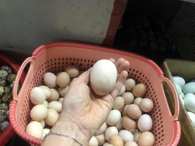 Trứng tăng giá cao gần gấp đôi - Ảnh 3