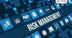 Risk management là gì? Hướng dẫn 7 bước quản trị rủi ro trong doanh nghiệp