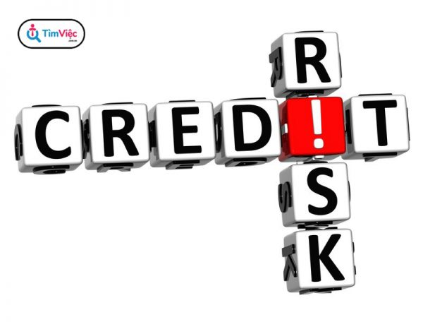 Credit risk là gì? Nguyên nhân dẫn đến rủi ro tín dụng - Ảnh 1