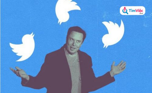 Năn nỉ nhân viên trở lại sau cú “búng tay” của Elon Musk, màn sa thải ở Twitter hỗn loạn đến mức nào? - Ảnh 1