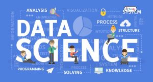 Data Scientist là gì? Công việc của Data Scientist là làm gì? 