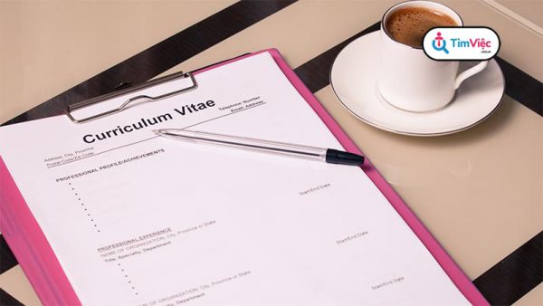 Designation trong CV là gì? Tip viết chức danh chuyên môn gây ấn tượng - Ảnh 3