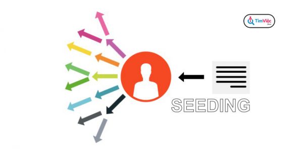 Seeder là gì? Hướng dẫn cách tạo ra seeding tốt nhất - Ảnh 2