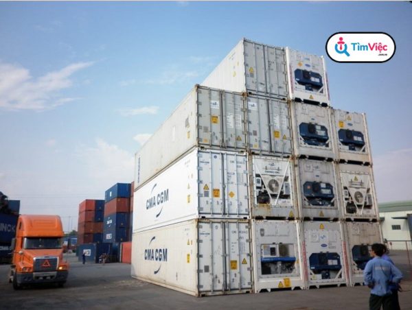 Container lạnh là gì? Nguyên tắc cất giữ container lạnh - Ảnh 1