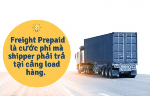 Freight Cost là gì? Những quy định về cước phí vận chuyển - Ảnh 3