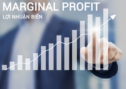 Profit margin là gì? Phân loại biên lợi nhuận và cách tính chi tiết - Ảnh 5