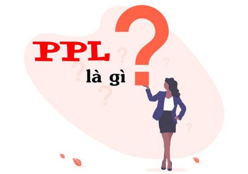 PPL là gì? Tìm hiểu về chiến lược PPL trong Marketing - Ảnh 1