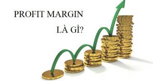 Profit margin là gì? Phân loại biên lợi nhuận và cách tính chi tiết