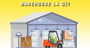 Warehouse là gì? Các loại Warehouse phổ biến hiện nay