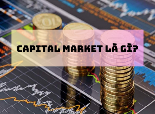 Capital market là gì? Tìm hiểu về các loại thị trường vốn - Ảnh 1