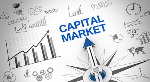 Capital market là gì? Tìm hiểu về các loại thị trường vốn - Ảnh 3