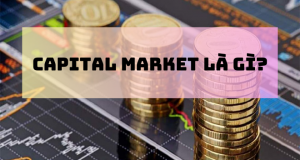 Capital market là gì? Tìm hiểu về các loại thị trường vốn