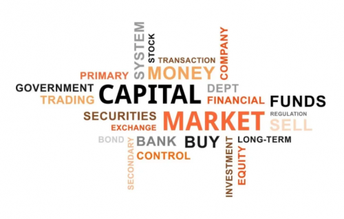 Capital market là gì? Tìm hiểu về các loại thị trường vốn - Ảnh 2
