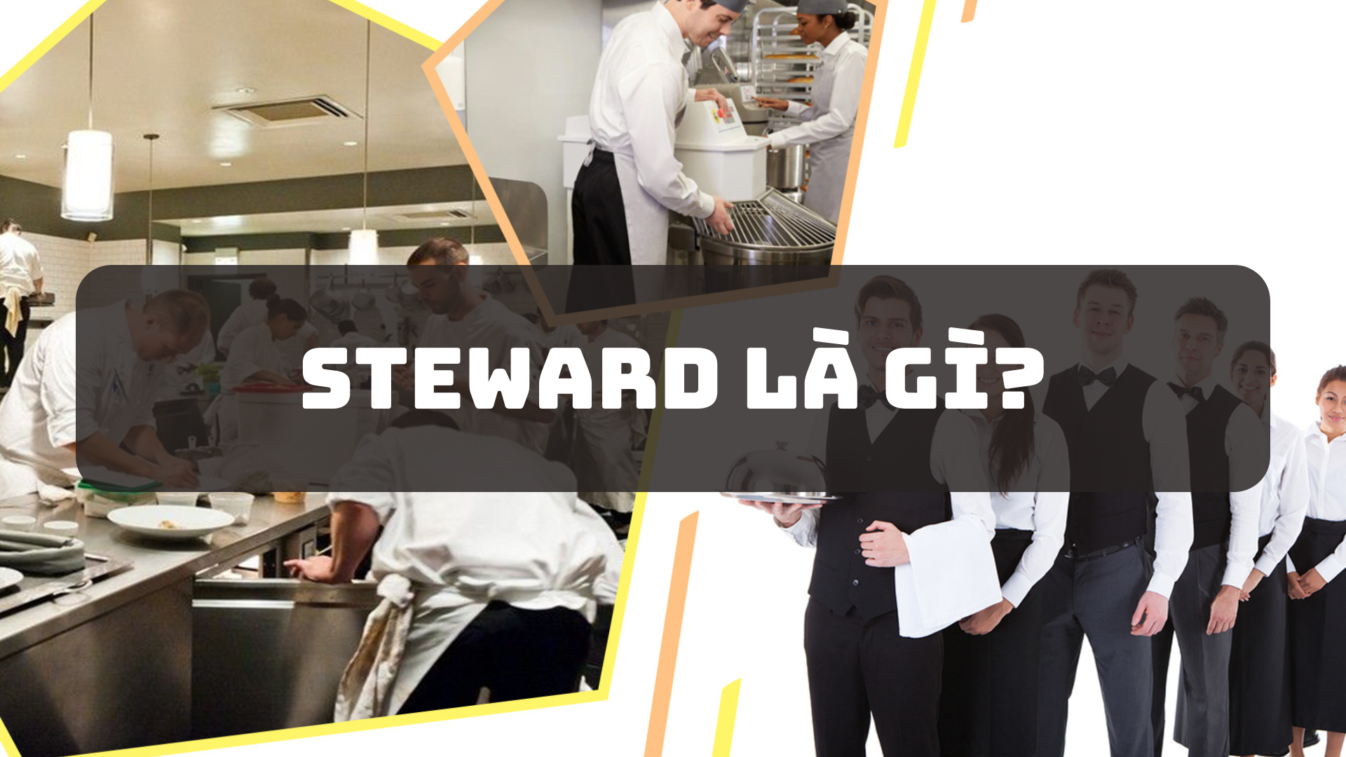 Steward là gì? Những cơ hội nào cho vị trí Steward hiện nay?