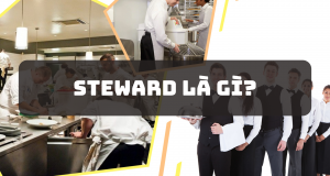 Steward là gì? Những cơ hội nào cho vị trí Steward hiện nay?