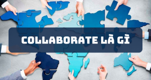 Collaborate là gì? Tìm hiểu về tầm quan trọng của hợp tác