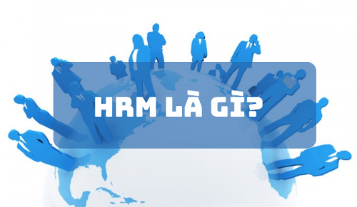 HRM là gì? Vai trò và quy trình của quản trị nguồn nhân lực - Ảnh 1