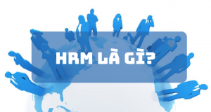 HRM là gì? Vai trò và quy trình của quản trị nguồn nhân lực