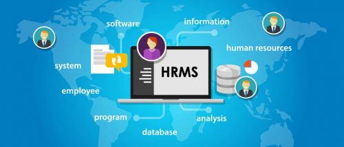 HRM là gì? Vai trò và quy trình của quản trị nguồn nhân lực - Ảnh 2