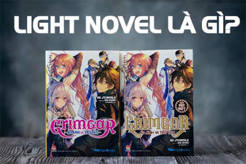 Light novel là gì? Khám phá điều thú vị xoay quanh light novel - Ảnh 1