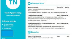 Các Yếu Tố Quan Trọng trong CV Content Marketing