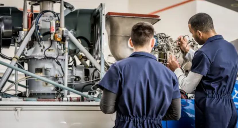 7 C&ocirc;ng Việc Lương “Triệu Đ&ocirc;” Tại Mỹ Kh&ocirc;ng Y&ecirc;u Cầu Bằng Đại Học - Ảnh 6